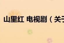 山里紅 電視?。P(guān)于山里紅 電視劇的介紹）