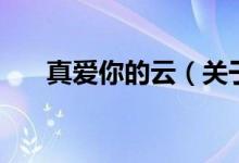 真愛你的云（關于真愛你的云的介紹）