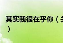 其實我很在乎你（關于其實我很在乎你的介紹）
