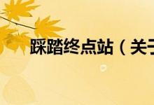 踩踏終點站（關(guān)于踩踏終點站的介紹）