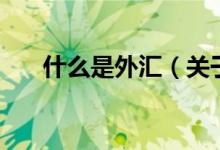 什么是外匯（關(guān)于什么是外匯的介紹）