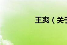 王爽（關于王爽的介紹）