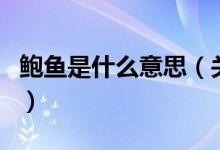 鮑魚(yú)是什么意思（關(guān)于鮑魚(yú)是什么意思的介紹）