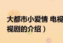 大都市小愛(ài)情 電視?。P(guān)于大都市小愛(ài)情 電視劇的介紹）