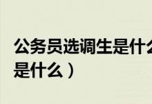 公務員選調(diào)生是什么意思（公務員選調(diào)生說的是什么）