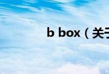 b box（關于b box的介紹）