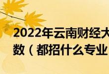 2022年云南財經(jīng)大學(xué)各省招生計劃及招生人數(shù)（都招什么專業(yè)）
