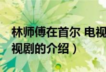 林師傅在首爾 電視?。P(guān)于林師傅在首爾 電視劇的介紹）