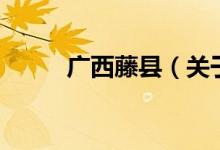 廣西藤縣（關(guān)于廣西藤縣的介紹）