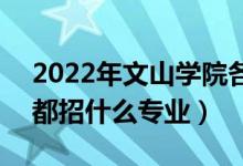 2022年文山學(xué)院各省招生計(jì)劃及招生人數(shù)（都招什么專(zhuān)業(yè)）