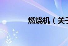 燃燒機(jī)（關(guān)于燃燒機(jī)的介紹）