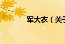 軍大衣（關(guān)于軍大衣的介紹）