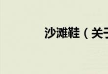 沙灘鞋（關(guān)于沙灘鞋的介紹）