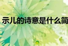 示兒的詩意是什么簡(jiǎn)短（示兒的詩意是什么）