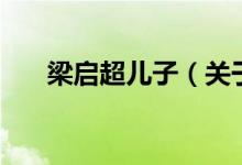 梁?jiǎn)⒊瑑鹤樱P(guān)于梁?jiǎn)⒊瑑鹤拥慕榻B）