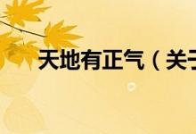 天地有正氣（關于天地有正氣的介紹）