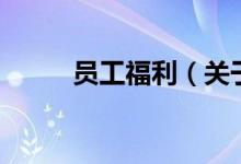 員工福利（關(guān)于員工福利的介紹）