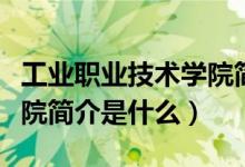工業(yè)職業(yè)技術(shù)學院簡介（昆明工業(yè)職業(yè)技術(shù)學院簡介是什么）