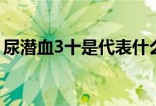 尿潛血3十是代表什么（尿潛血3十是什么?。?class=