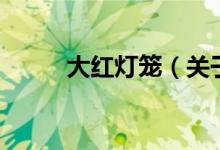 大紅燈籠（關于大紅燈籠的介紹）