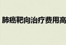 肺癌靶向治療費用高嗎（肺癌靶向治療費用）