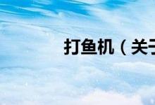 打魚機（關(guān)于打魚機的介紹）