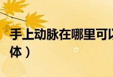 手上動脈在哪里可以看到（手上動脈在哪要具體）