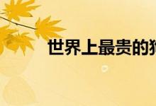 世界上最貴的狗（分別是多少錢）