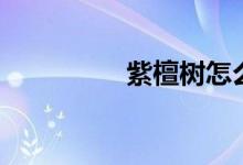 紫檀樹怎么養(yǎng)（長得快）