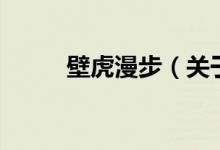 壁虎漫步（關于壁虎漫步的介紹）