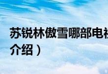 蘇銳林傲雪哪部電視?。ㄌK銳林傲雪的電視劇介紹）