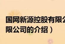國(guó)網(wǎng)新源控股有限公司（關(guān)于國(guó)網(wǎng)新源控股有限公司的介紹）