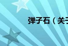 彈子石（關于彈子石的介紹）