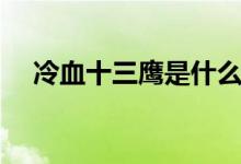 冷血十三鷹是什么電視?。阌锌催^(guò)嗎）