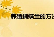 養(yǎng)殖蝴蝶蘭的方法（怎么養(yǎng)護蝴蝶蘭）
