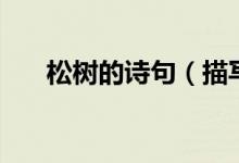 松樹(shù)的詩(shī)句（描寫(xiě)松樹(shù)的詩(shī)句有哪些）