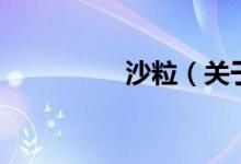 沙粒（關于沙粒的介紹）