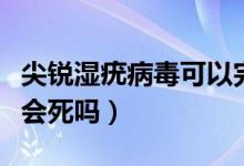 尖銳濕疣病毒可以完全消滅嗎（得了尖銳濕疣會(huì)死嗎）