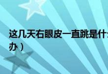 這幾天右眼皮一直跳是什么預兆（眼皮一直跳好幾天了怎么辦）