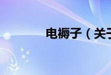 電褥子（關(guān)于電褥子的介紹）
