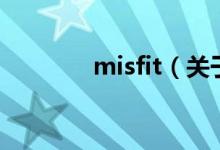 misfit（關(guān)于misfit的介紹）