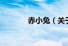 赤小兔（關(guān)于赤小兔的介紹）