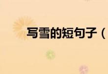 寫雪的短句子（關(guān)于雪的唯美句子）