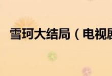 雪珂大結(jié)局（電視劇雪珂的大結(jié)局是什么）