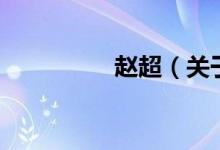 趙超（關(guān)于趙超的介紹）