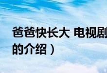 爸爸快長大 電視劇（關(guān)于爸爸快長大 電視劇的介紹）