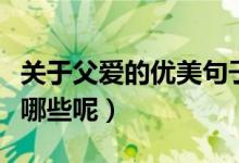 關(guān)于父愛(ài)的優(yōu)美句子（關(guān)于父愛(ài)的優(yōu)美句子有哪些呢）