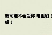 我可能不會(huì)愛你 電視?。P(guān)于我可能不會(huì)愛你 電視劇的介紹）