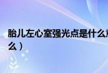 胎兒左心室強(qiáng)光點(diǎn)是什么意思28周（胎兒左心室強(qiáng)光點(diǎn)是什么）