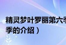 精靈夢葉羅麗第六季（關(guān)于精靈夢葉羅麗第六季的介紹）